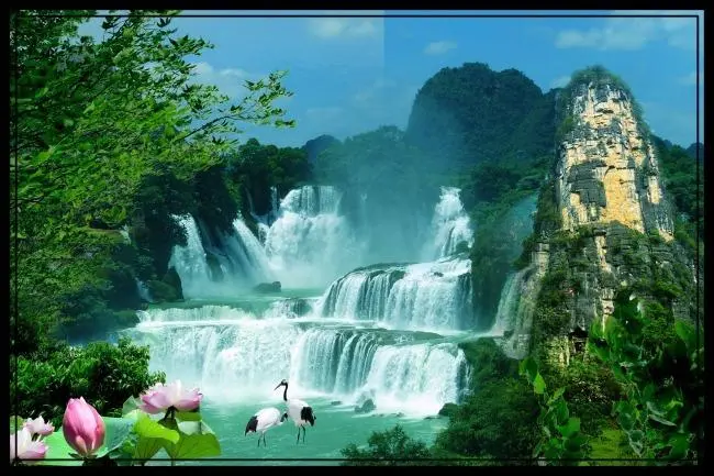 绿色高端